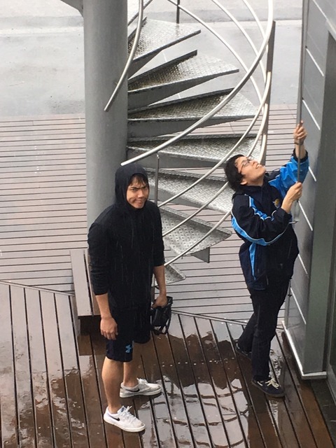 LINE_P20170514_23482843