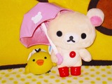 ¥¢¥ó¥Ö¥ì¥é¡¦¥³¥ê