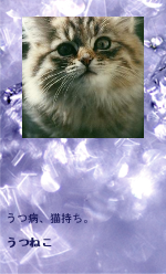 �ߤ�