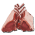 35px-Raw_Mutton