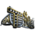35px-Rex_Stomped_Glasses_Saddle_Skin