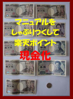 楽天マニュアル特典