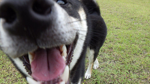 resize0892