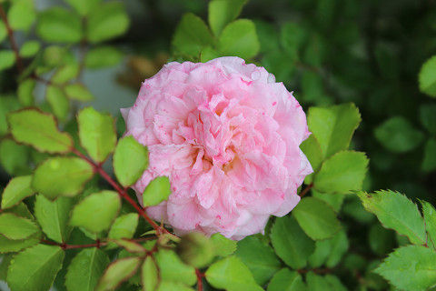 resize1708