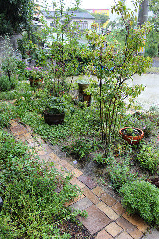 resize0534