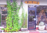 2010-8-18-asagao-1