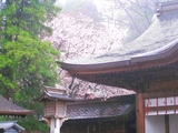 2010-4-10-3