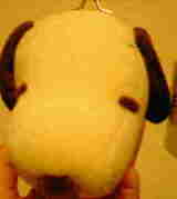 200509070011000.jpg