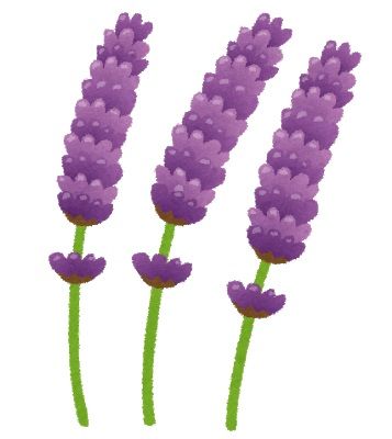flower_lavender