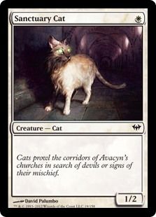 聖所の猫
