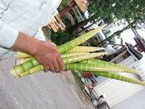 DSCF2784