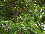 002