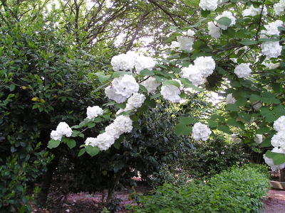 25ǯ4·î 012