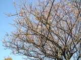 26ǯ2·î20Æü 001