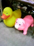 050217_1103~00.jpg
