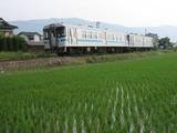 1000系 徳島行き