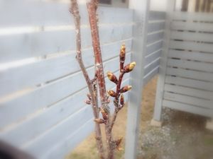 IMG_0651