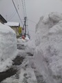 20120207_1825014