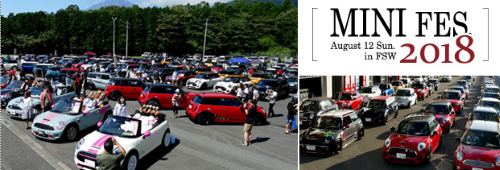 MINI FES 2018