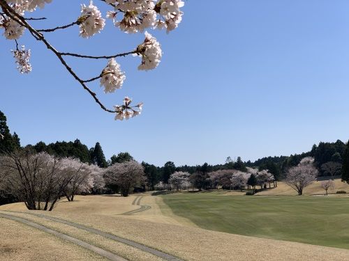 20190413_01