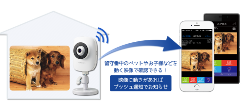 CS-QR20