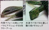 写真4