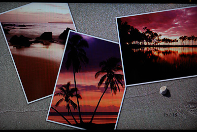 2009_09_21_16.jpg