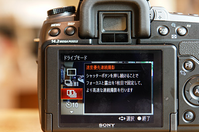 α550展示始めました。(フォトレビュー) - ONE'S- ソニープロ α550展示始めました。(フォトレビュー) - ONE'S- ソニープロ