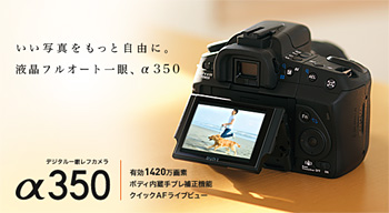 2008_02_01_05.jpg