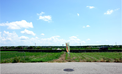 2008_08_12_01.jpg