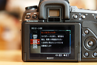 2009_11_08_25.jpg