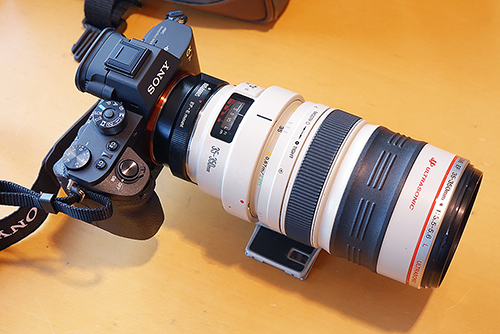 【安心OH済】Canon EF 35-350mm F3.5-5.6 L USM