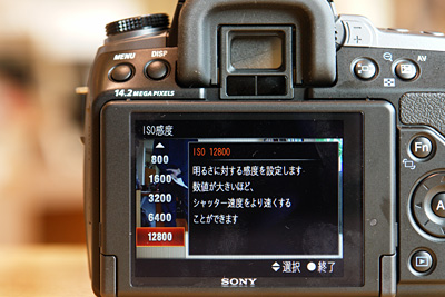 α550展示始めました。(フォトレビュー) - ONE'S- ソニープロ α550展示始めました。(フォトレビュー) - ONE'S- ソニープロ