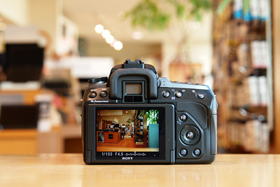 2009_11_08_04.jpg