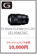 FE 90mm F2.8 Macro G OSS（SEL90M28G）