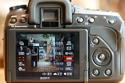 2009_11_08_29.jpg