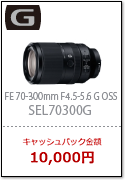 FE 70-300ｍｍ F4.5-5.6 G OSS（SEL70300G）