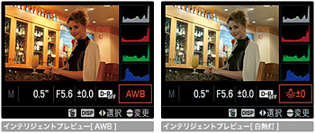 2008_09_10_04.jpg