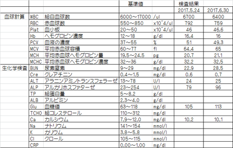 イマチニブ2年目