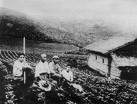 imigrantes2