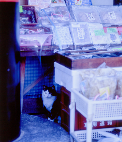 Mamiya RB67 + Sekor 180mm F4.5 Velvia 100F