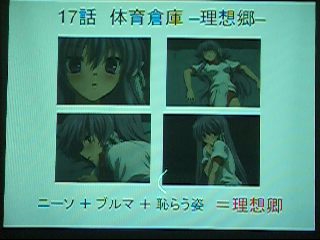 理想郷=理想杏