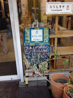 flancetei