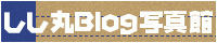 ������Blog�̿���