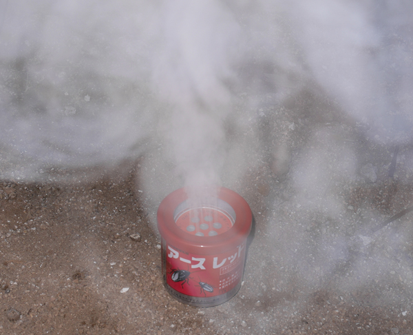 earth_chemical_earthred01