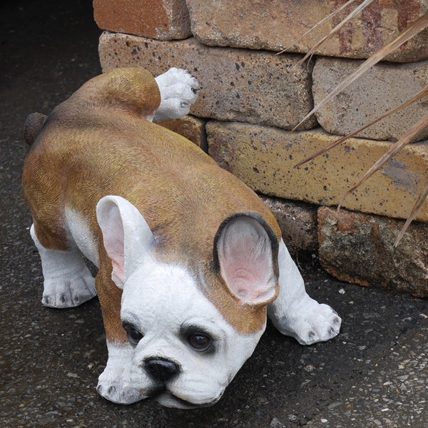 dog_urine_marking_pottery01