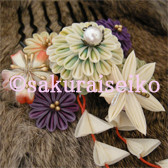 ��ִ����