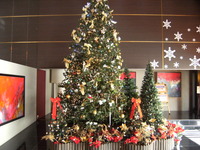 DSCF6636