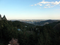 PC200341
