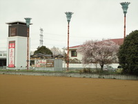 画像 005